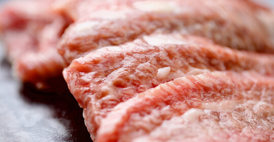 菊池農場（熊本県菊池市）