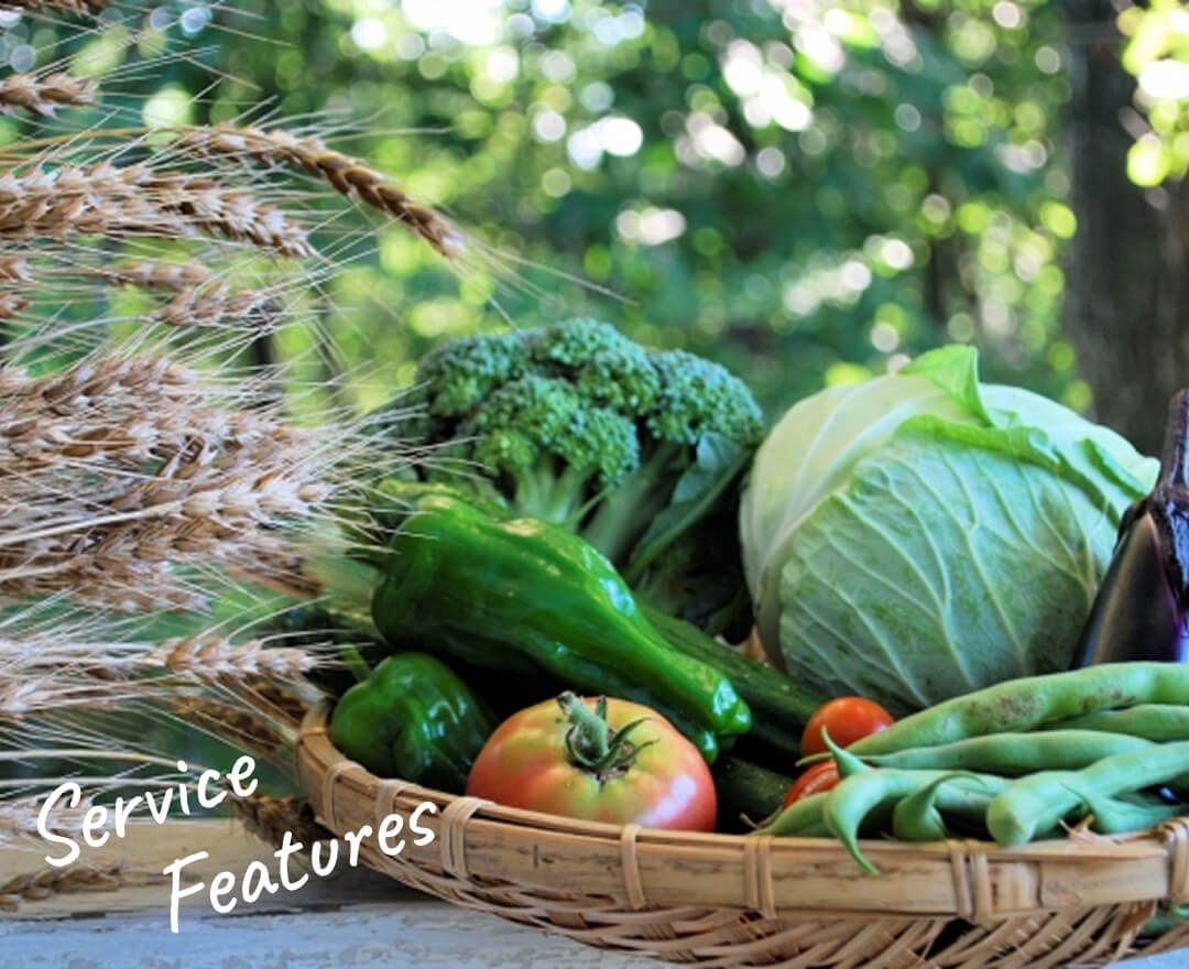 宅配セットイメージ